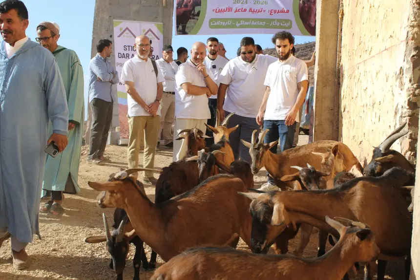 توزيع-رؤوس-ماعز-على-أسر-متضررة-من-زلزال-الحوز(صور)