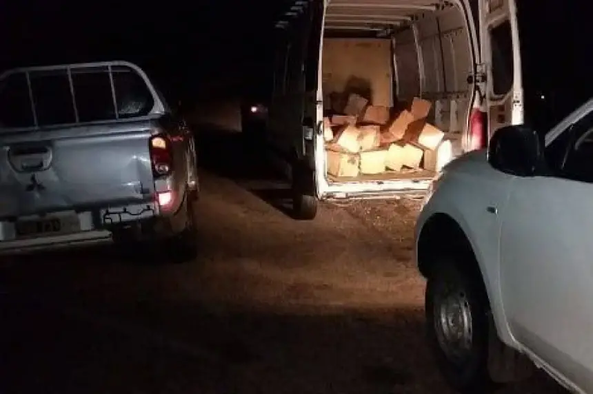 الدرك-يتصدى-للجريمة-البيئية-ويوقف-عصابة-“أشجار-الأرز”