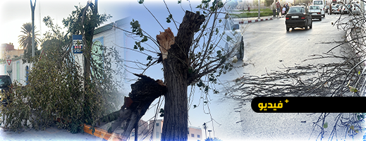 عاصفة-مفاجئة-تهز-الناظور-وتسقط-أشجارا-قرب-النافورة-ومقهى-فيكتوريا