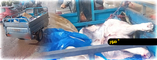 نقل-اللحوم-بـ”تريبورتور”-في-بن-الطيب-ينذر-بكارثة-صحية.-ومطالب-بتدخل-عاجل