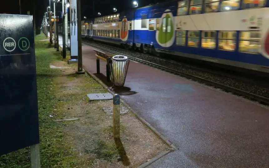 ابنة-دبلوماسي-مغربي-ضحية-سرقة-عنيفة-على-متن-قطار-في-فرنسا