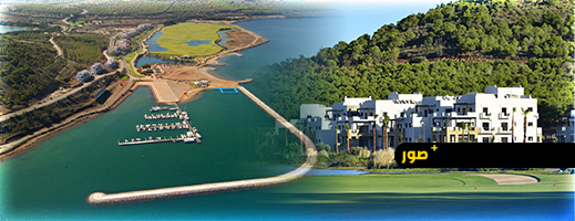 مارشيكا-ميد:-ديناميكية-التحول-المؤكدة-والمدعومة-بمؤشرات-إيجابية