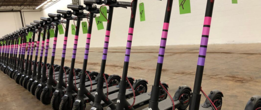 وسط-غياب-بنية-تحتية-خاصة.-المغرب-يفرض-قوانين-صارمة-على-التروتينيت