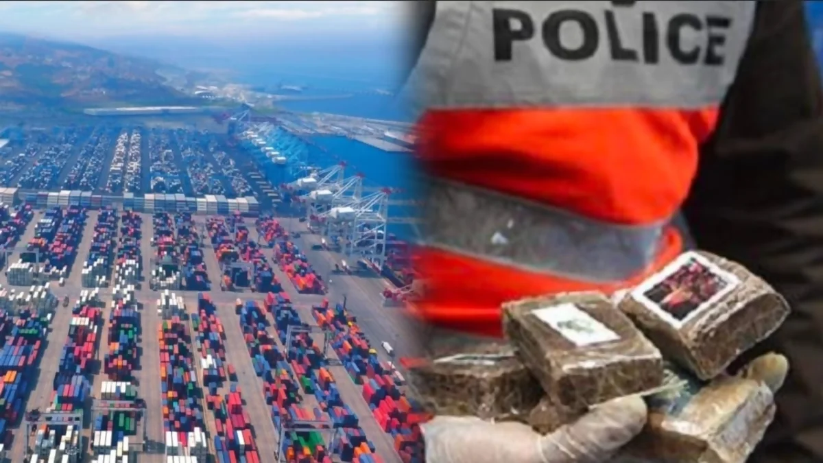 شحنة-كانت-على-وشك-مغادرة-المغرب…-إحباط-تهريب-أزيد-من-8-أطنان-من-الشيرا-بطنجة-المتوسط