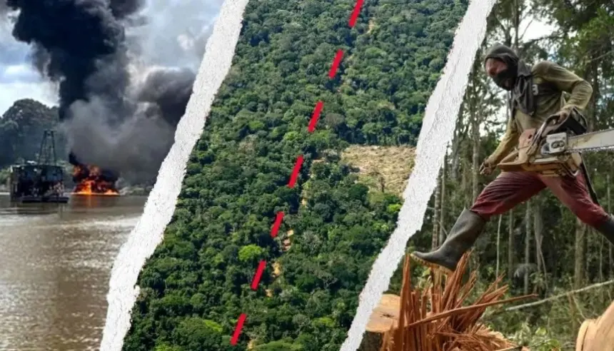 الأمازون-الكولومبي-يتحول-إلى-ساحة-للجريمة-المنظمة:-الذهب-والكوكايين-واللحوم-على-حساب-الغابات