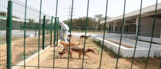 هذه-مستجدات-المشروع-الضخم-لإيواء-الحيوانات-الضالة.-ومستوى-تقدم-الأشغال-في-المدن-المعنية