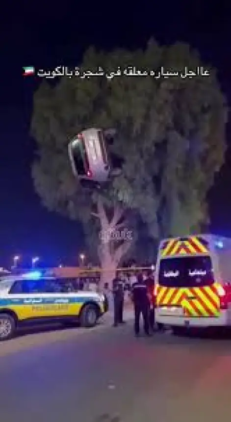 أغرب-حادث-سير-2025.سيارة-معلقة-فوق-شجرة-على-طريق-الدائري
