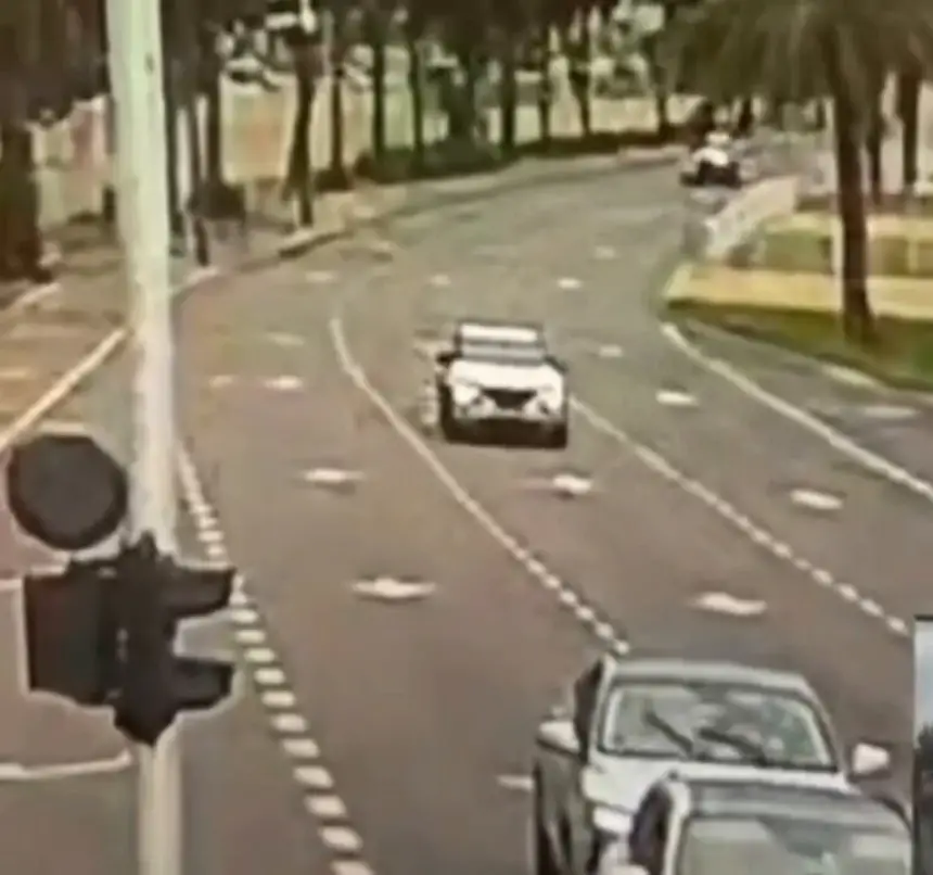 بالفيديو.رياح-قوية-تقتلع-شجرة-وتتسبب-في-حادث-سيارة-على-طريق-رئيسي-في-إسرائيل