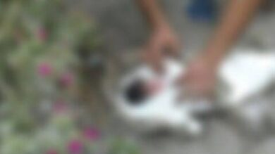 العثور-على-جثة-رضيع-حديثة-الولادة-بالناظور