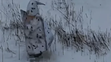 حاول-التخفي-فكان-هدفاً-سهلاً:-مقتل-جندي-روسي-بعباءة-مضادة-للطائرات-المسيّرة