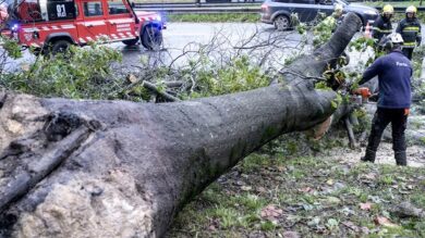 العاصفة-“كريستين”-تخلّف-قتلى-وأضرارًا-واسعة-في-البرتغال