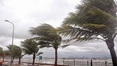 نشرة-إنذاريةجديدة-تحذر-من-رياح-عاصفية-قوية-بالناظور