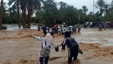 حالة-طوارئ-مستمرة.-استمرار-تعليق-الدراسة-غداً-الخميس-بكل-من-طنجة-والحسيمة-والفحص-أنجرة