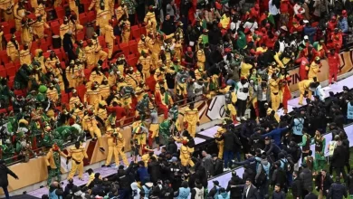 السجن-والغرامات-لمثيري-الشغب-في-نهائي-كأس-إفريقيا.-أحكام-صارمة-تطال-مشجعين-سنغاليين-وجزائريًا