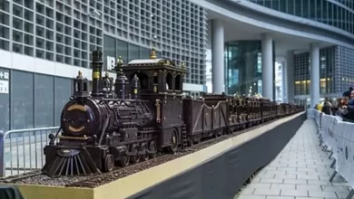 55-متراً-من-الشوكولاتة.-مالطي-يدخل-غينيس-بأطول-قطار-بخاري-مصنوع-من-الحلوى