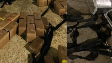 إحباط-تهريب-490-كيلوغراما-من-المخدرات-داخل-شاحنة-للنقل-الدولي