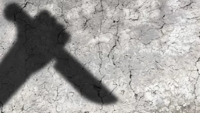 خلاف-بسبب-فتاة-ينتهي-بجريمة-مروعة.-شاب-يقتل-زميله-بطعنة-قاتلة