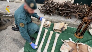 إسبانيا.-حجز-شحنة-من-جلود-حيوانات-محمية-قادمة-من-المغرب