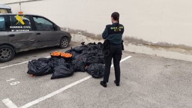 توقيف-مغربيين-في-إسبانيا-بتهمة-سرقة-500-كيلوغرام-من-“الماندرين”