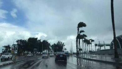 انخفاض-في-الحرارة-وأمطار-تشمل-مناطق-واسعة-بالمملكة-غدا-الثلاثاء