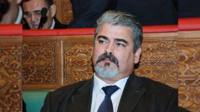 يحيى-يحيى:-استنساخ-“المسيرة-الخضراء”-خارج-سياقها-توظيف-مرفوض