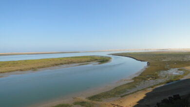 طرفاية-:-بحيرة-النعيلة،-ملاذ-مفضل-لعشاق-السفر-بالك-رفان-ات-الأجانب