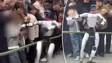 حادثة-مقلقة:-روبوت-يخرج-عن-السيطرة-ويضرب-طفلاً(فيديو)