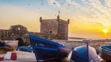 مهرجان-“المحيطات”-من-02-إلى-05-أبريل-بالصويرة.-انخراط-جماعي-في-المحافظة-على-المحيط