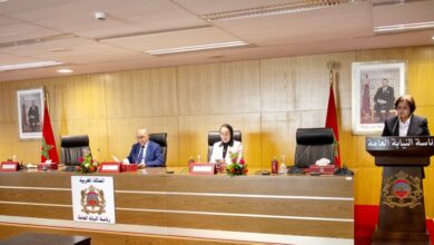 رئاسة-النيابة-العامة-تبرز-دور-القضاء-في-دعم-التنمية-الاقتصادية-وحماية-مناخ-الأعمال