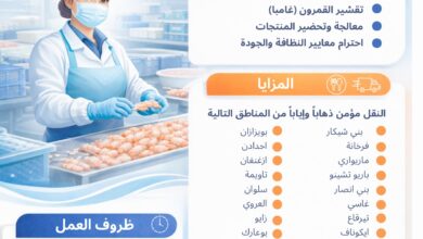 شركة-fish-mya-تفتح-باب-التوظيف-أمام-نساء-الناظور-في-قطاع-معالجة-القمرون