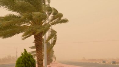 نشرة-برتقالية-تحذر-من-رياح-قوية-وغبار-بالمملكة-يوم-الإثنين-المقبل