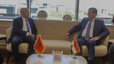 وزير-الفلاحة-والصيد-البحري-والتنمية-القروية-والمياه-والغابات-يبحث-مع-نظيره-المصري-آفاق-التكامل-وتعزيز-الاستثمارات-الزراعية-المشتركة