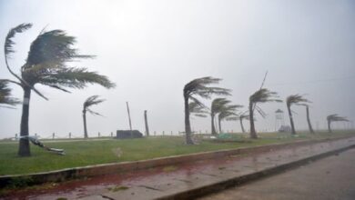 هبات-رياح-قوية-مرتقبة-غدا-الخميس-بعدد-من-مناطق-المملكة