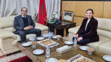 عامل-إقليم-الحسيمة-يستقبل-القنصل-العام-لفرنسا-بطنجة-لتعزيز-التعاون-اللامركزي