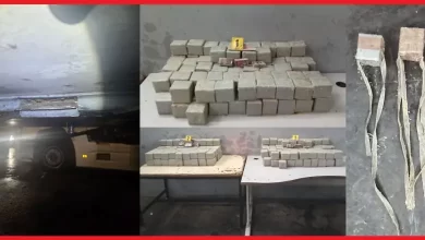 تنسيق-أمني-يحبط-تهريب-181-كيلوغراماً-من-الشيرا-بميناء-طنجة-المتوسط