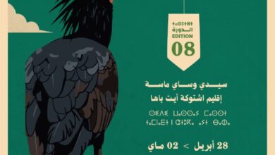 سيدي-وساي-–-ماسة-تحتضن-الدورة-الثامنة-للمهرجان-الدولي-للسينما-والبيئة