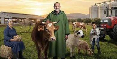 معرض-“سيام-2026”:-31-مقاولة-إسبانية-تعرض-ابتكاراتها-الفلاحية