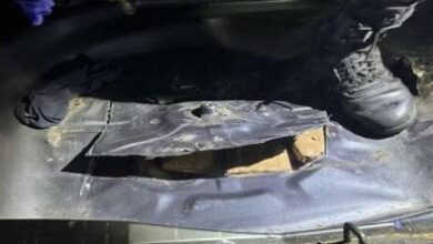 محاولة-تهريب-محكمة-تنتهي-بالفشل.-الجمارك-تحجز-83-كيلوغراما-من-الحشيش