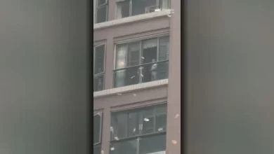 شجار-عائلي-يتحول-لمشهد-صادم.-صينية-تلقي-آلاف-الدولارات-من-شرفتها-بعد-شجار-حاد-مع-زوجها!⁣