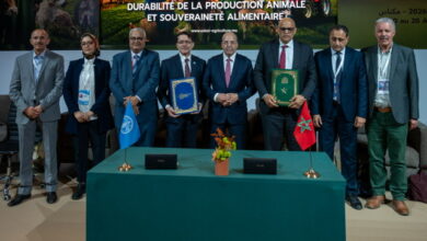 وزارة-الفلاحة-والصيد-البحري-والتنمية-القروية-والمياه-والغابات-ومنظمة-الأغذية-والزراعة-للأمم-المتحدة-(الفاو)-تنظمان-ندوةً-حول-موضوع-نظم-التراث-الزراعي