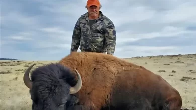 رحلة-صيد-تنقلب-إلى-مأساة.-أفيال-تنهي-حياة-مليونير-أمريكي