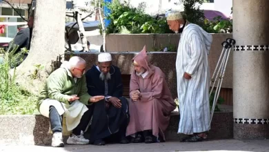 هولندا-تضيق-الخناق-على-المهاجرين.-قانون-جديد-يلزم-الأبناء-بأداء-مصاريف-رعاية-والديهم-المتقاعدين