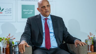 عراش-:-إدماج-الاستدامة-الغذائية-في-الاستراتيجيات-القطاعية-مفتاح-تحول-ناجح