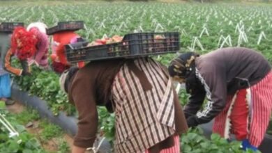 دراسة:-المغربيات-بالأندلس-يواجهن-صعوبات-في-الاندماج-المهني