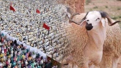 حسابات-فلكية-ترجّح-حلول-عيد-الأضحى-بالمغرب-يوم-27-ماي