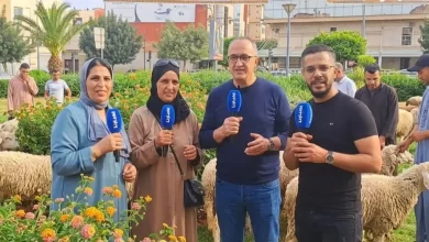 العيد-جا-والأسعار-شعلات.-شهادات-صادمة-من-وجدة:-الزيادة-فاقت-800-درهم-في-الخروف-الواحد-هذه-السنة