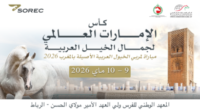 «معرض-مربي-الخيل-بالمغرب-–-كأس-الإمارات-العالمي-لجمال-الخيل-العربية-2026»:-الرباط-تحتفي-بتميّز-تربية-الخيل-العربية-بالمغرب
