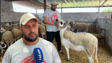 واش-مبغيتوش-الشناق-يربح.-كساب-للمغاربة:الخير-موجود-وكل-شي-غادي-يشري-الأضحية-ديالو-على-قد-حالو