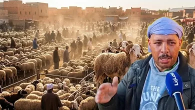 حنا-مع-الدرويش.-كساب-وجدي:-بغينا-المغاربة-يشريو-الاضحية-ديل-العيد-وافرحو-وليداتهم
