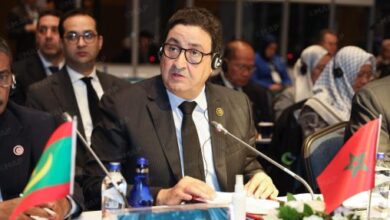 افتتاح-مؤتمر-ومعرض-النقل-الجوي-الإفريقي-في-لومي-بمشاركة-المغرب
